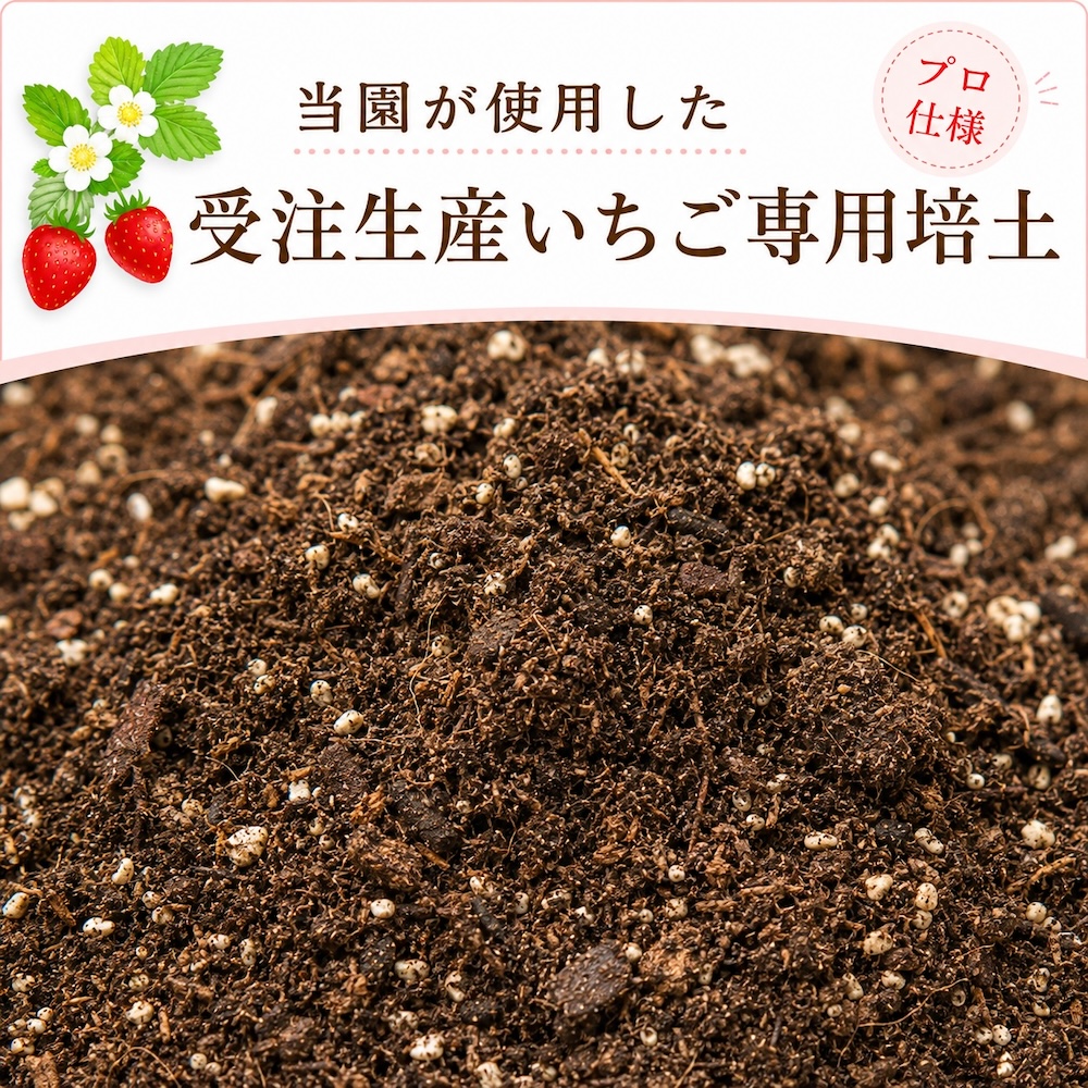 越後姫大苗に使用しているいちご専用培土