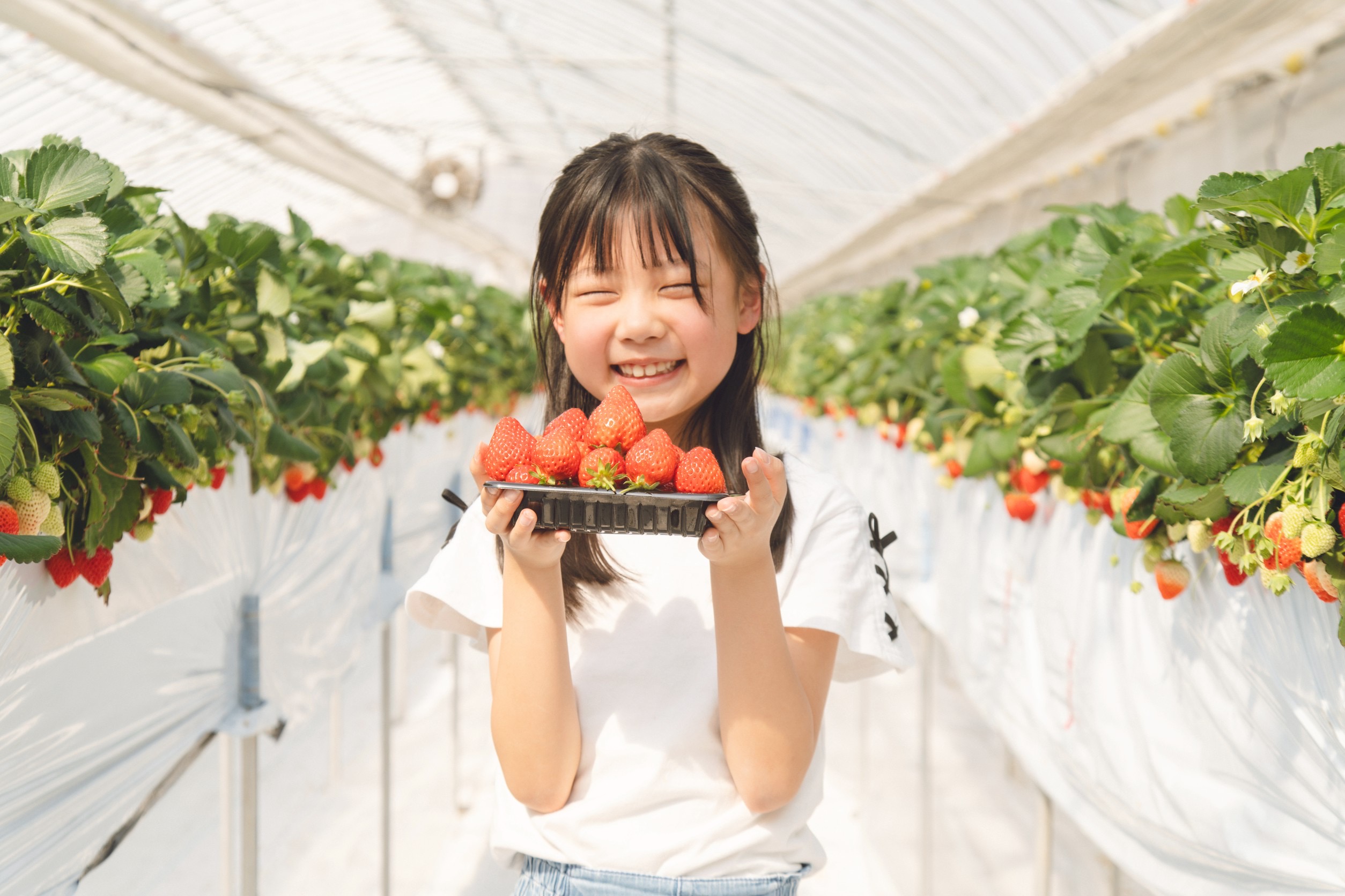いちごを手に笑顔を見せるお子様