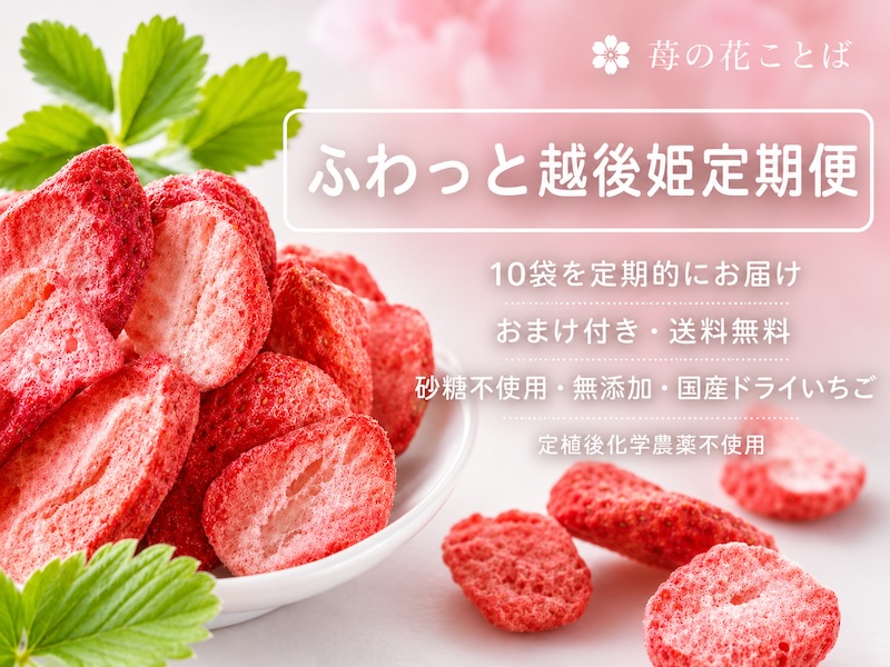 スライダー6