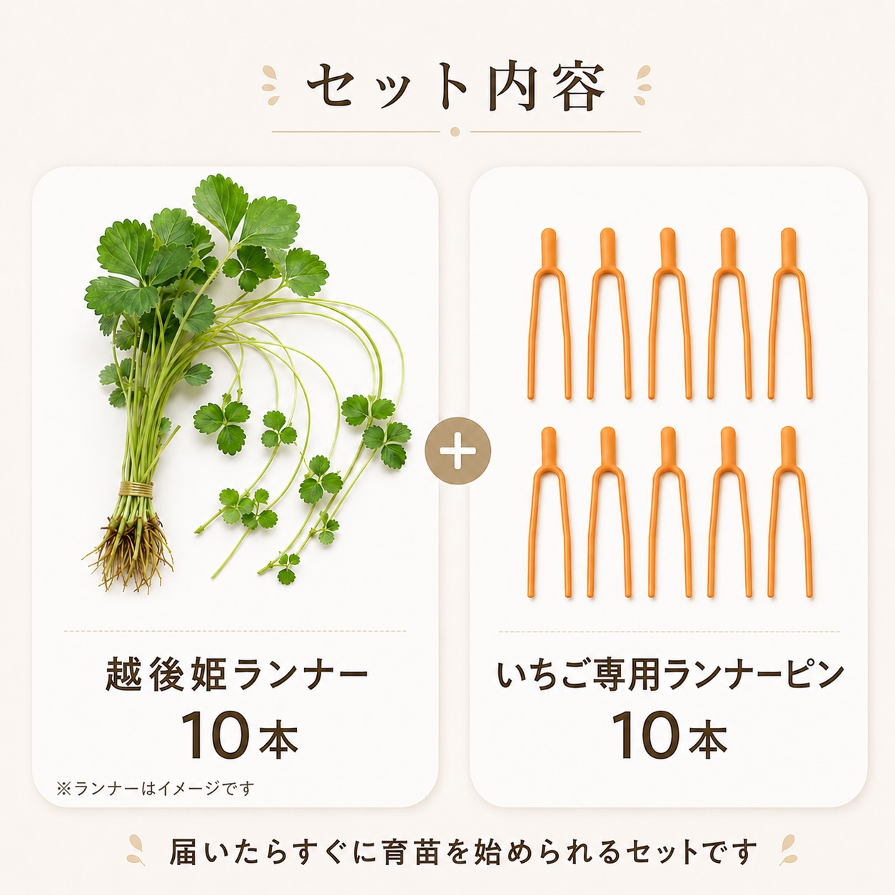 越後姫ランナー10本とランナーピン10本のセット内容
