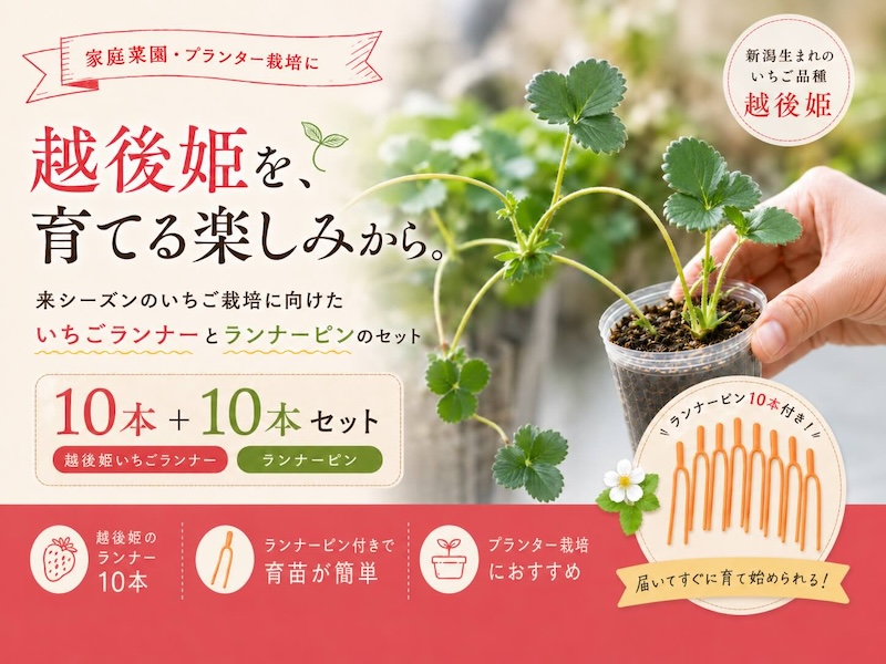 スライダー4