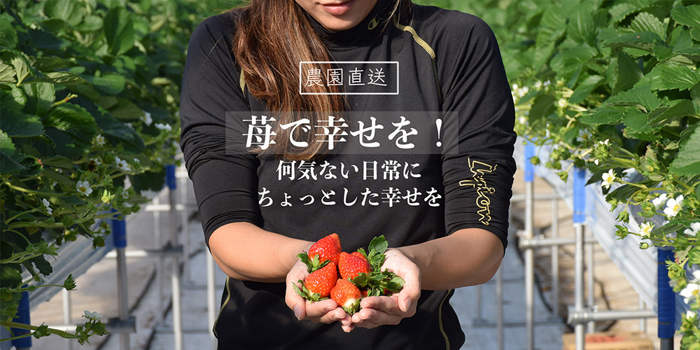 【苺花 様】専用・青360g×2袋≪フォロー割特価≫ 苺の花ことば 紹介｜【越後姫・桃薫】いちご専門通販サイト｜苺の
