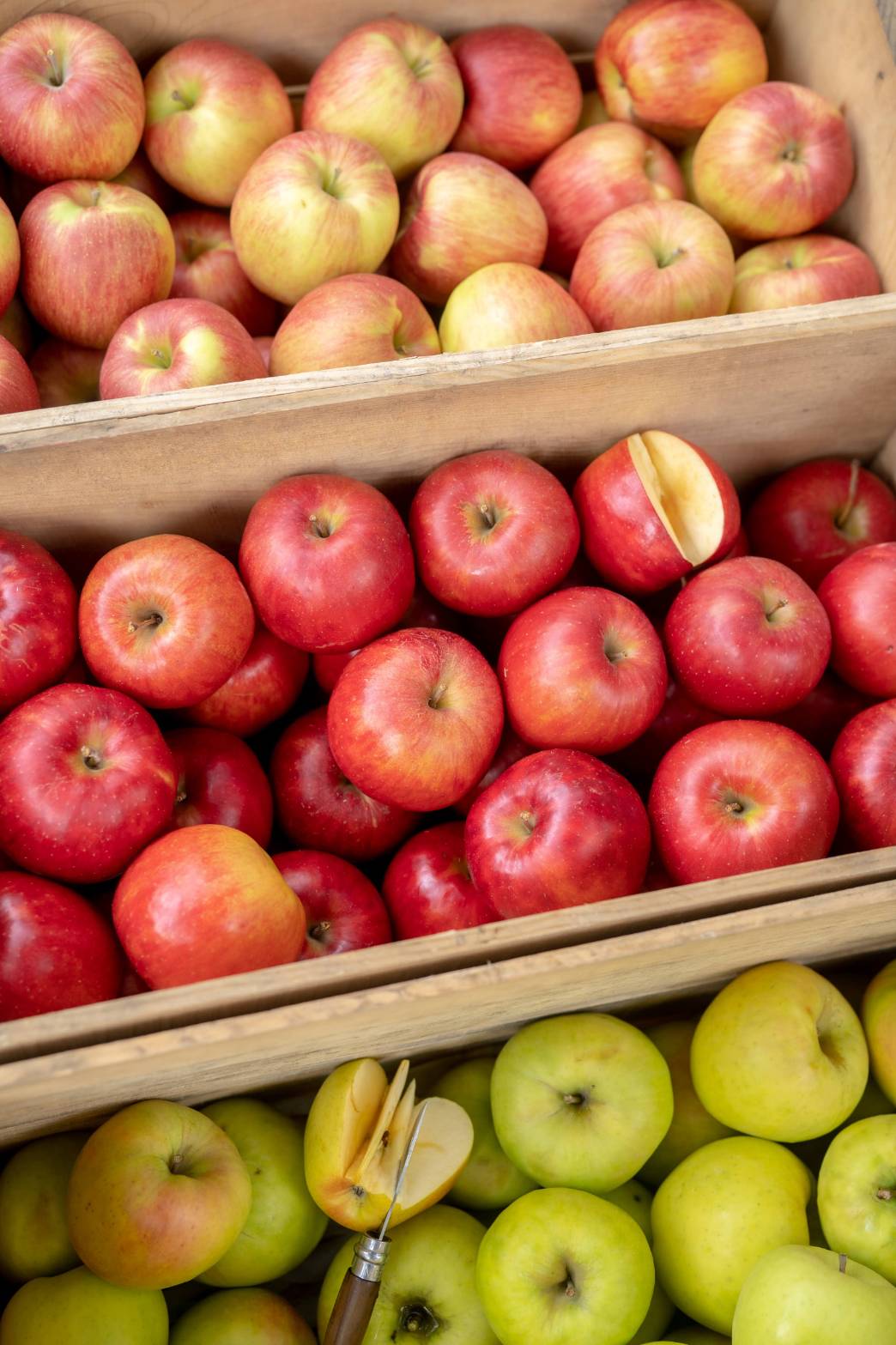 【送料無料10キロ・32〜36個】青森県産・直送りんご