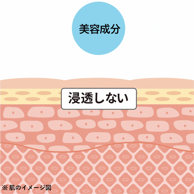 浸透しない肌の断面イメージ