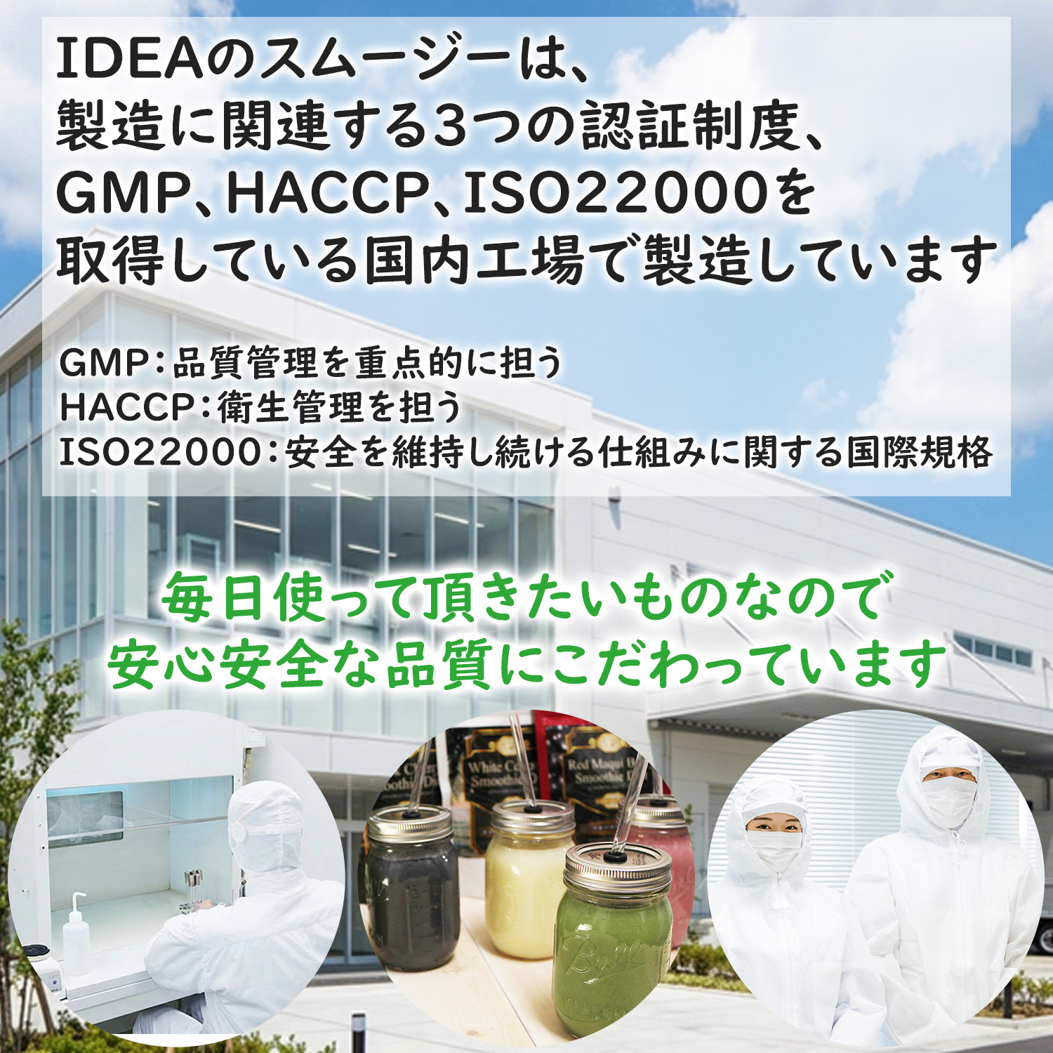 《初回64%OFF》【定期】グリーンベリースムージーダイエット 味1: ミックスベリー味, 味2: ミックスベリー味