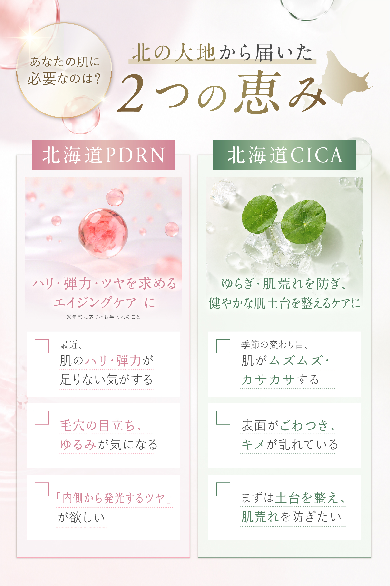  idio 北海道PDRNクレンジングバーム 90g