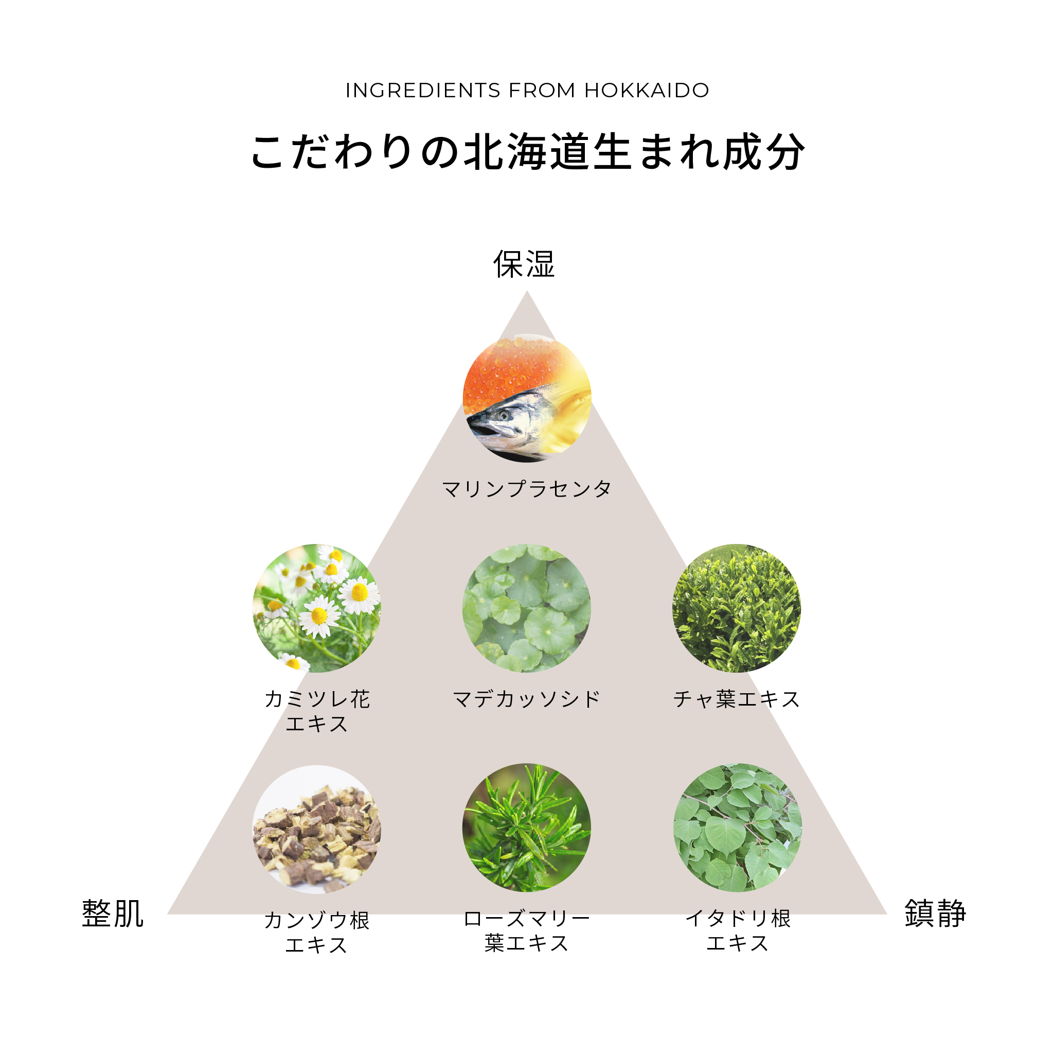 idio 北海道PDRNクリーム 55g