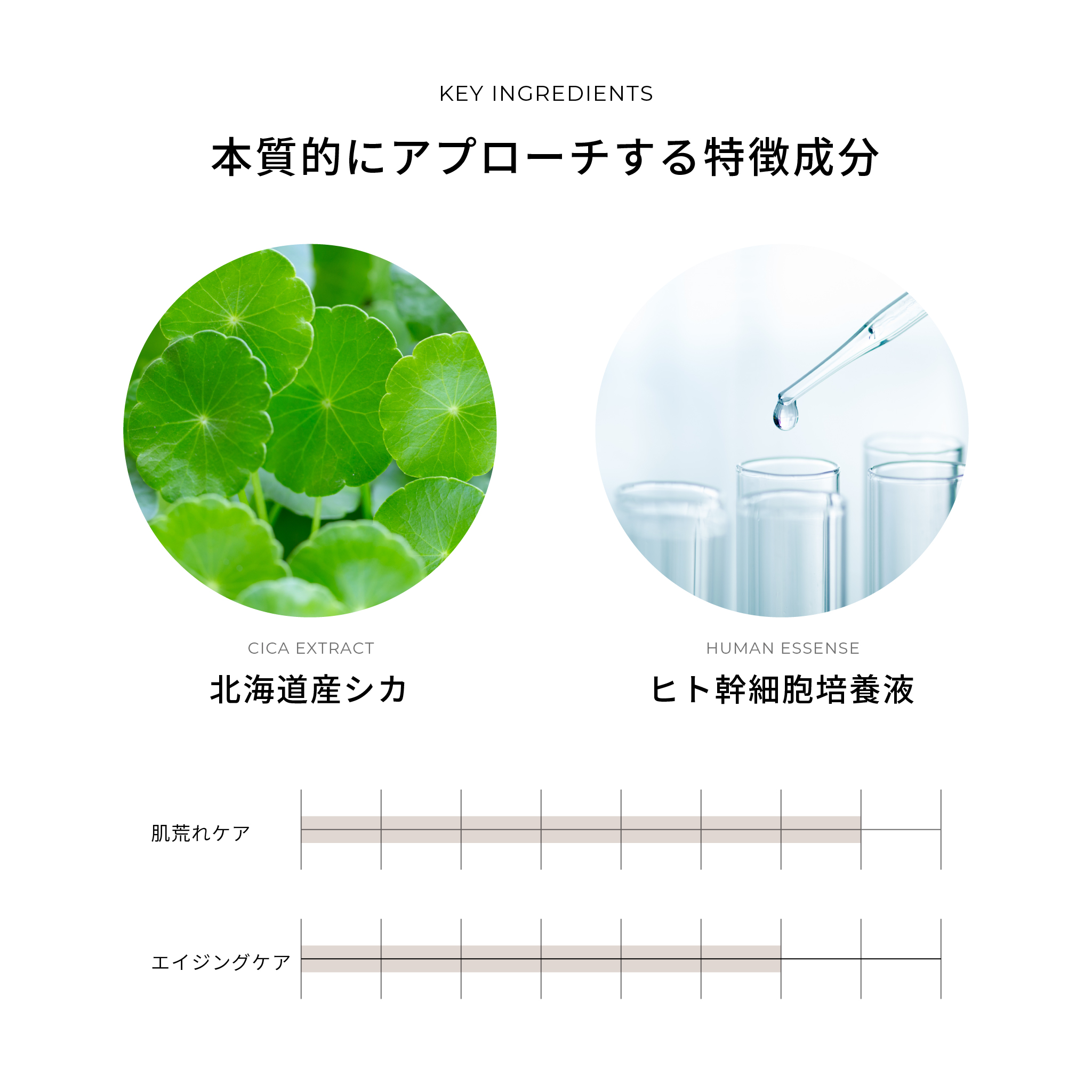 idio 北海道PDRNクリーム 55g