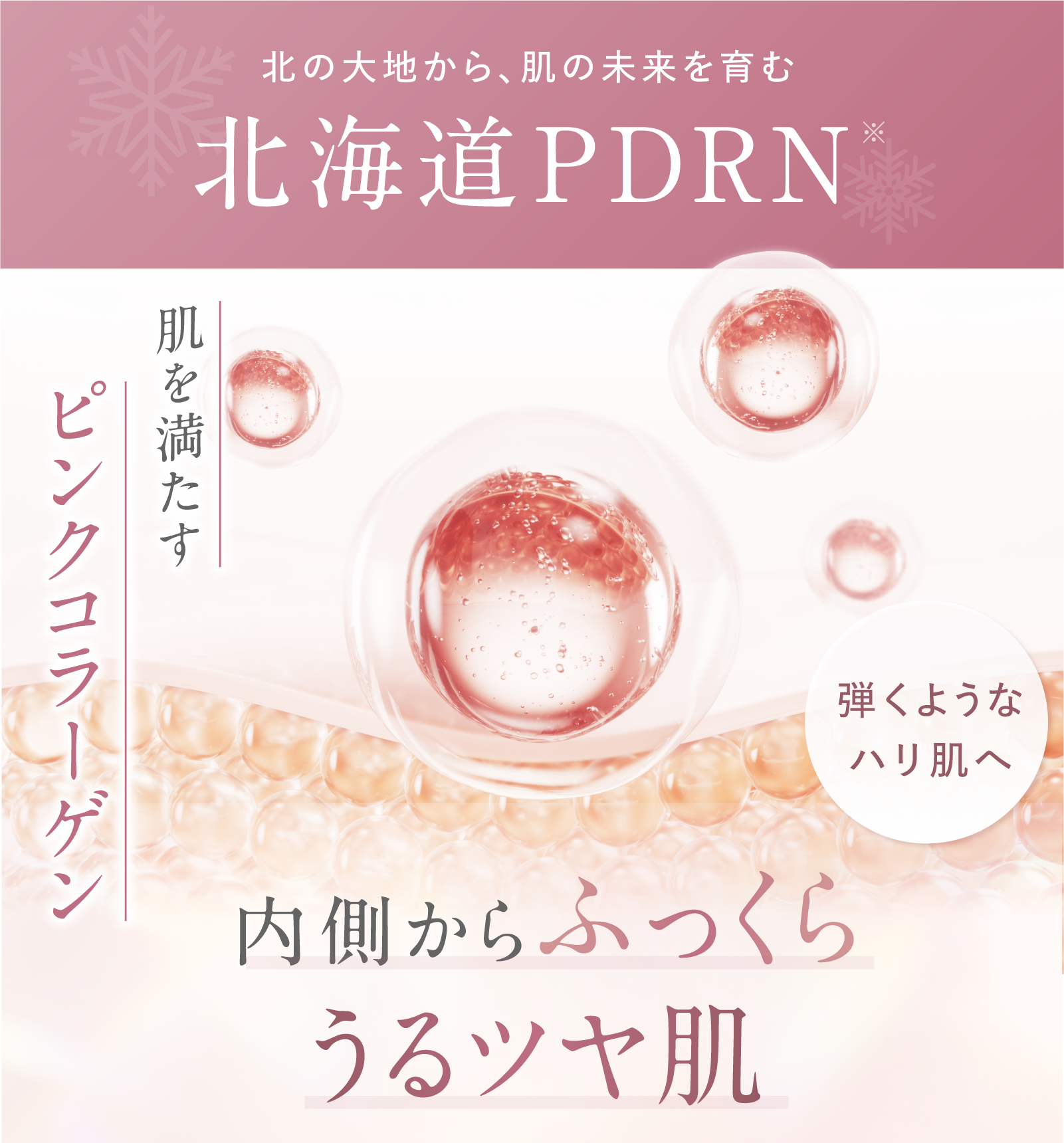 idio 北海道PDRNサーモンクリーム 55g