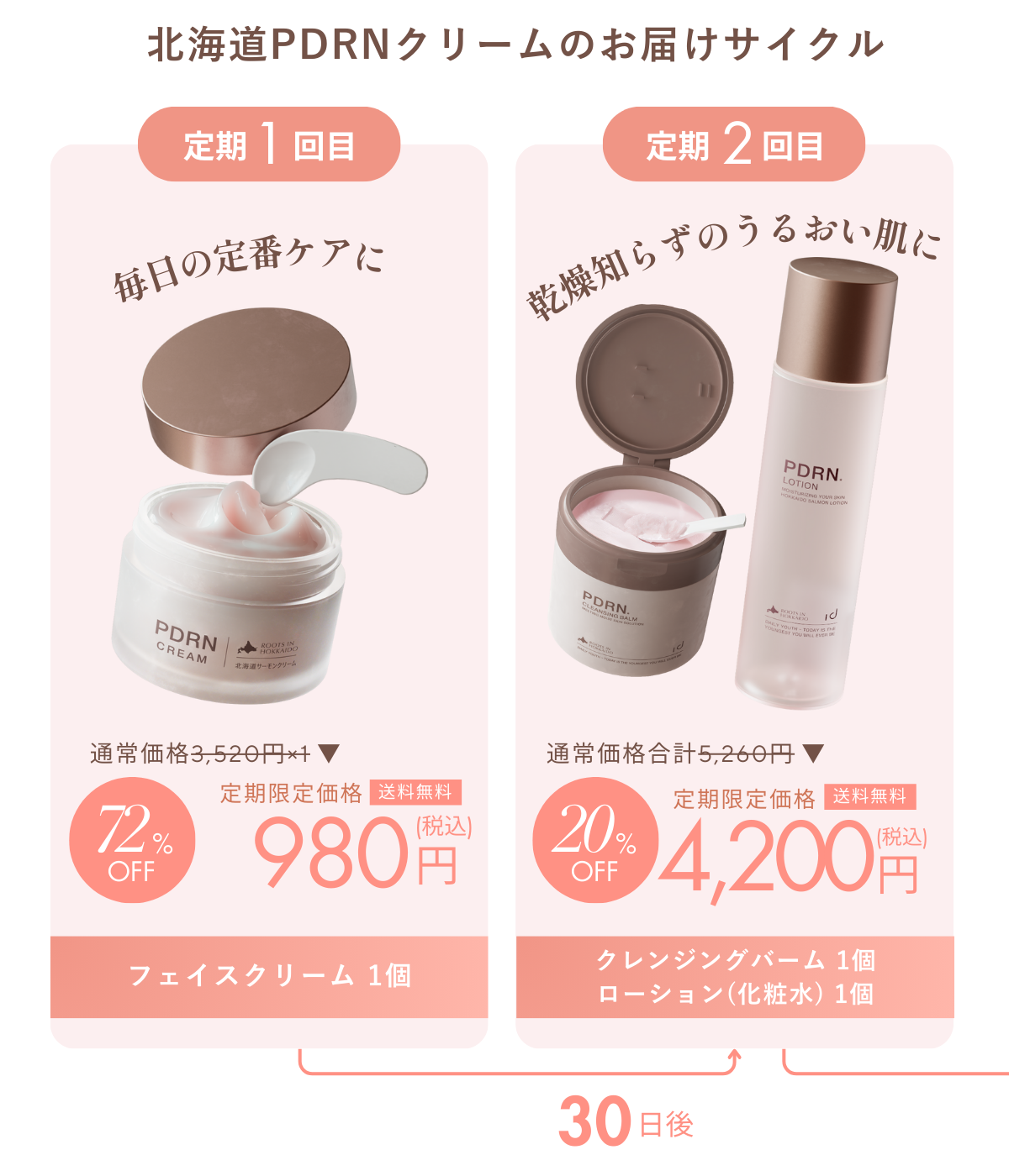 定期サイクル 1回目と2回目