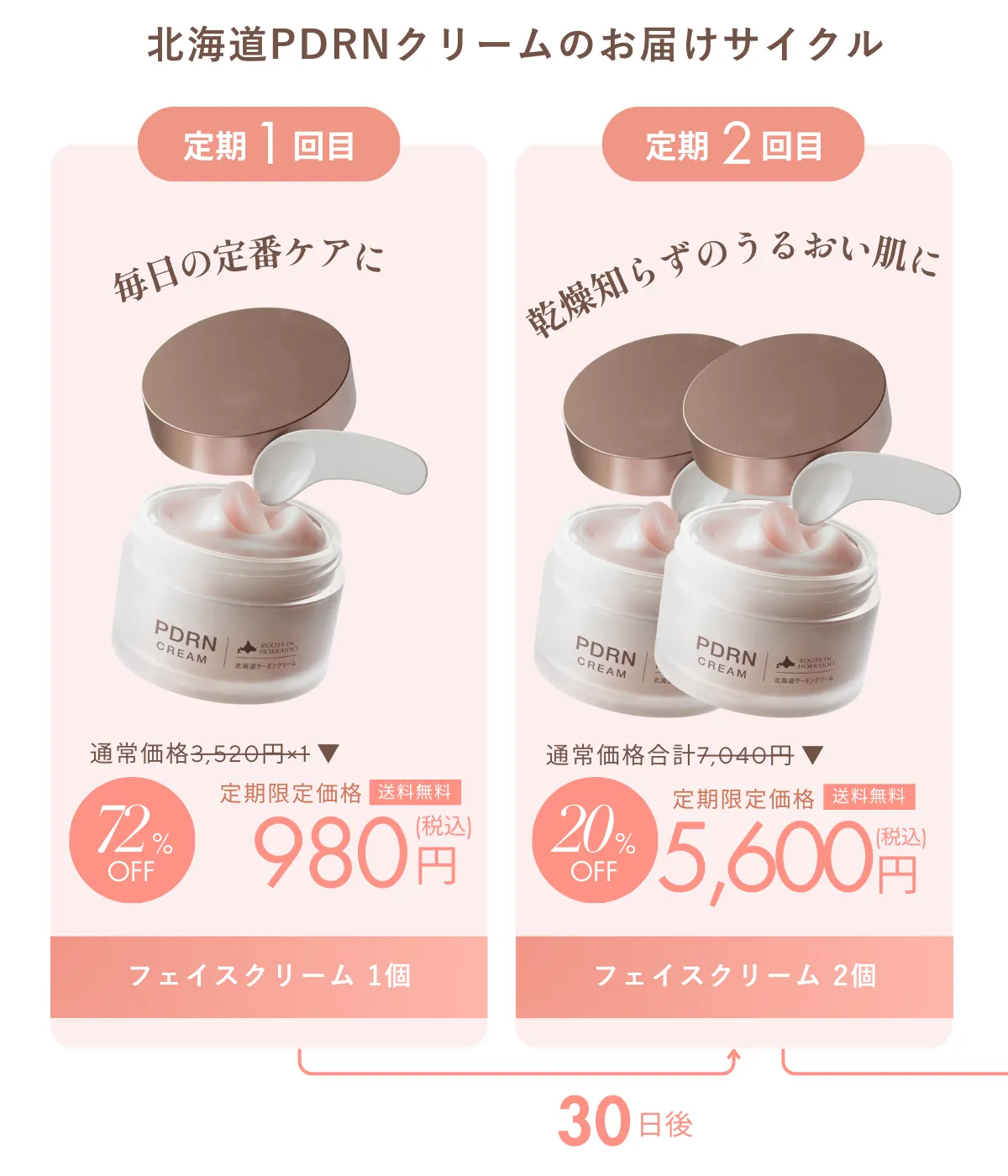 定期サイクル 1回目と2回目