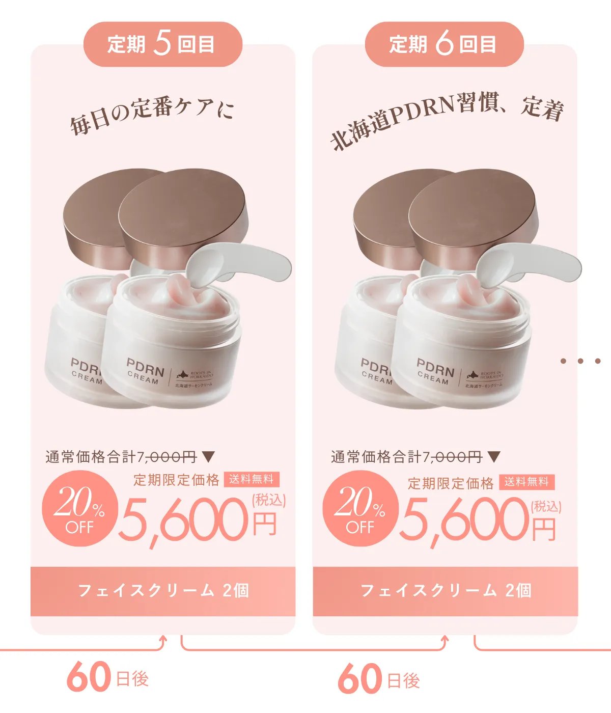 定期サイクル 5回目と6回目