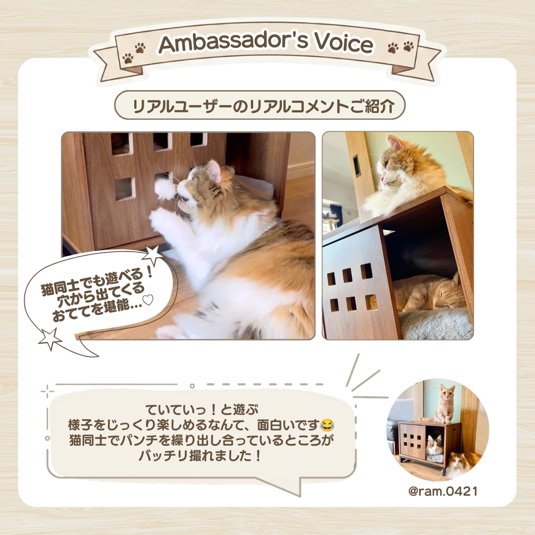 ieneko 猫パンチハウス White ieneko