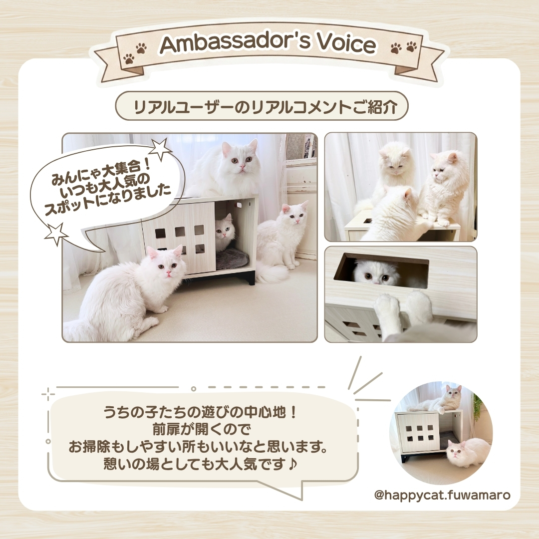 ieneko 猫パンチハウス White ieneko