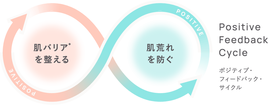 肌バリアを整えて、うるおい続く素肌へ