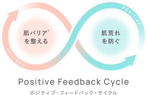 肌バリアを整えて、うるおい続く素肌へ