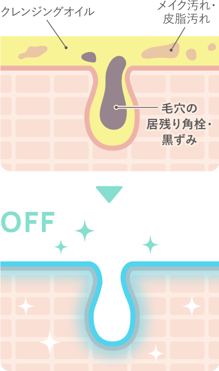 肌バリアを整えて、うるおい続く素肌へ