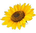 肌バリアを整えて、うるおい続く素肌へ