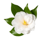 肌バリアを整えて、うるおい続く素肌へ