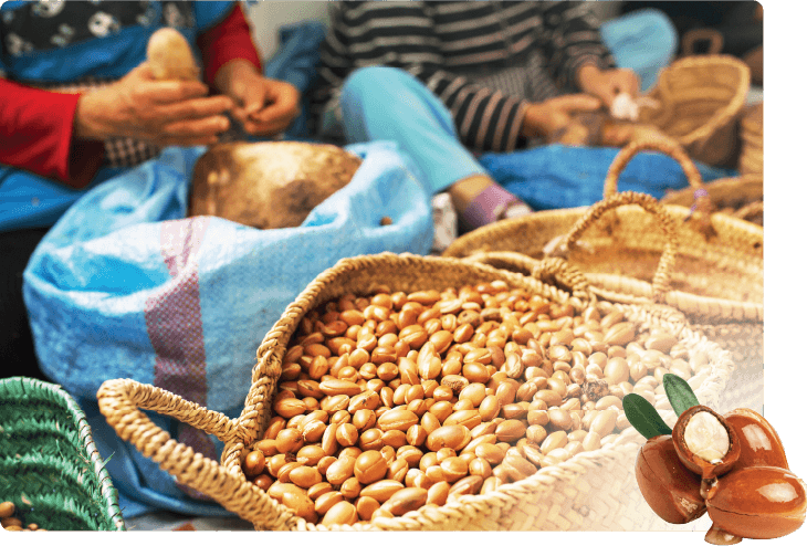 アルガンオイル