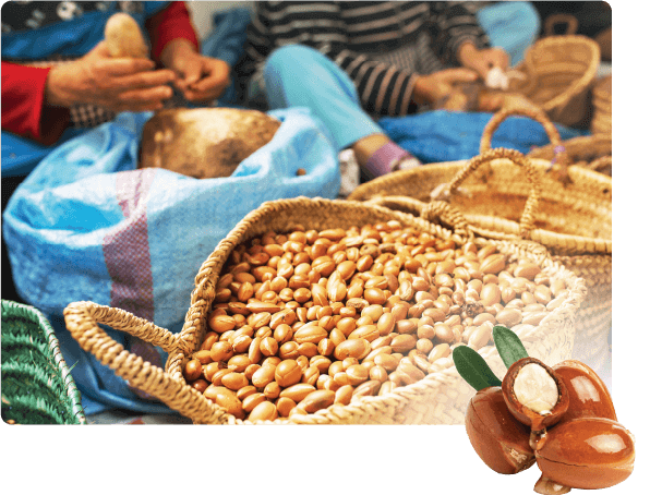 アルガンオイル