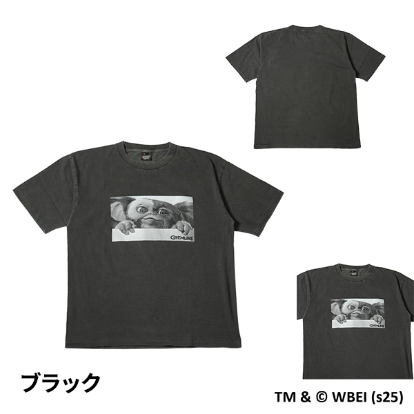 SCREEN STARS （スクリーンスターズ） ”GIZMO” プリントTシャツ 1枚