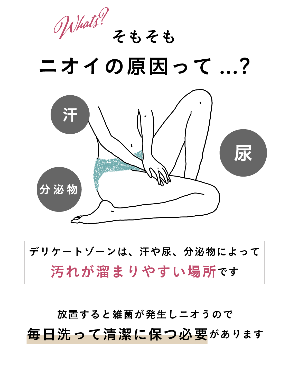 What's? そもそもニオイの原因って...?　汗　分泌物　尿　デリケートゾーンは、汗や尿、分泌物によって汚れが溜まりやすい場所です　放置すると雑菌が発生しニオうので毎日洗って清潔に保つ必要があります