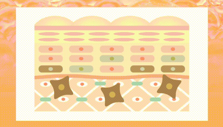 究極のハリ艶肌