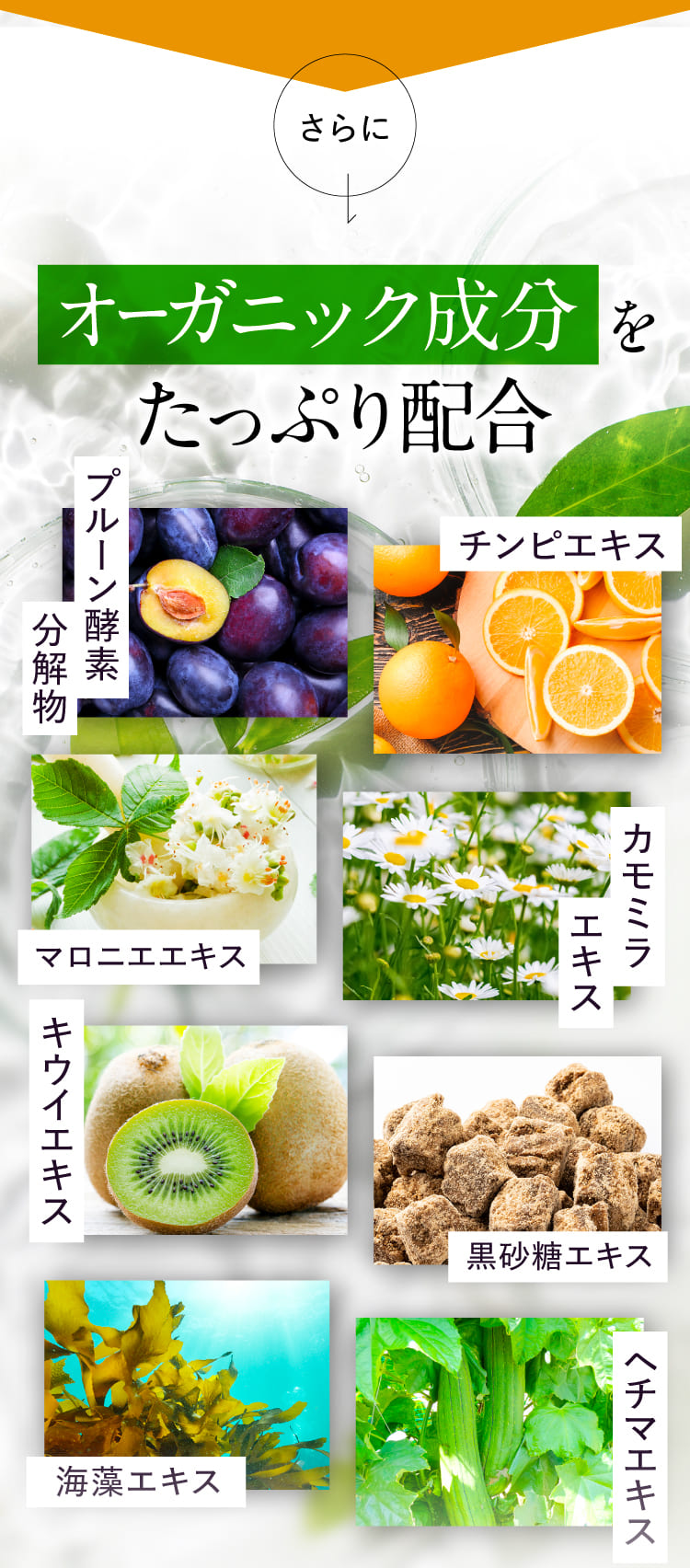 究極のハリ艶肌