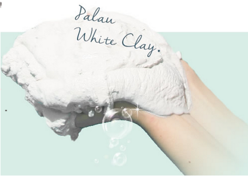 【パラオミルキー】ホワイトニングヴィーナスパック＊定期コース