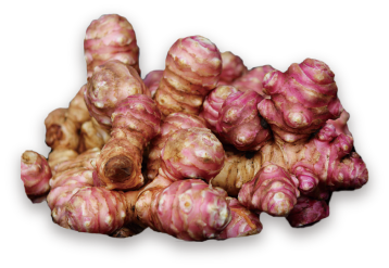 【大子町の紅菊姫】粒タイプ300粒