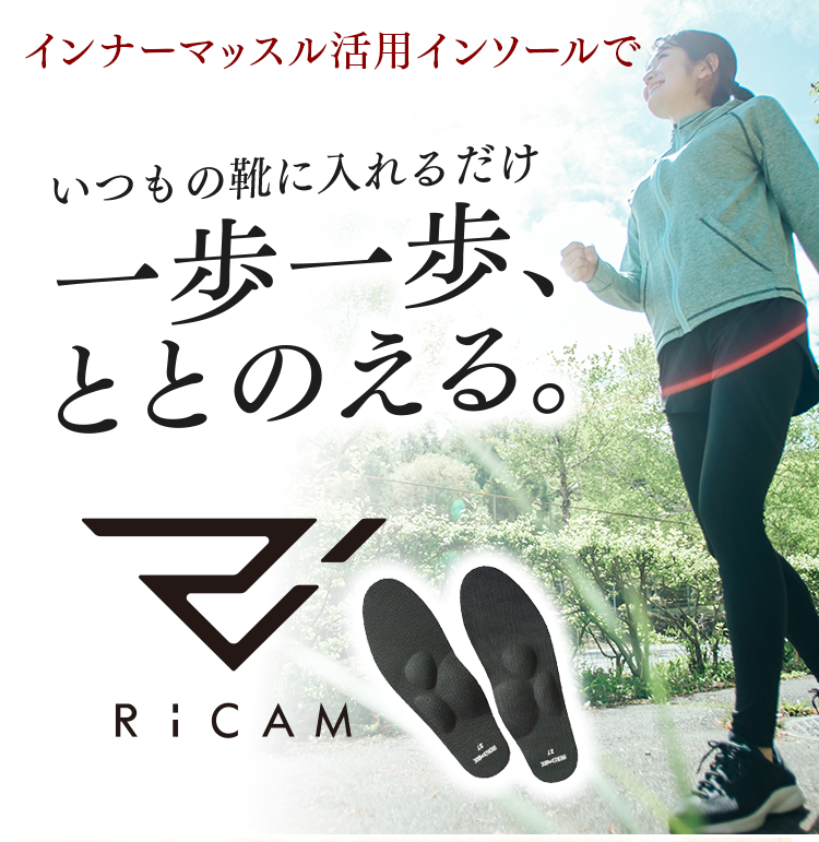 【いつもの靴に入れるだけ】IRERUDAKE（インソール）　