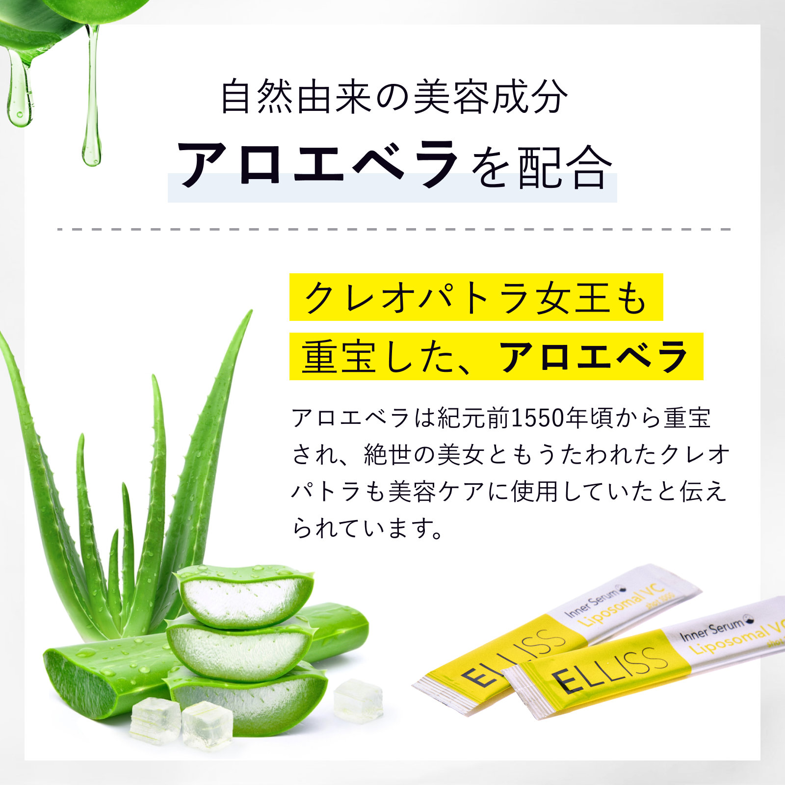 ELLISS リポソーマル VC ショット1000