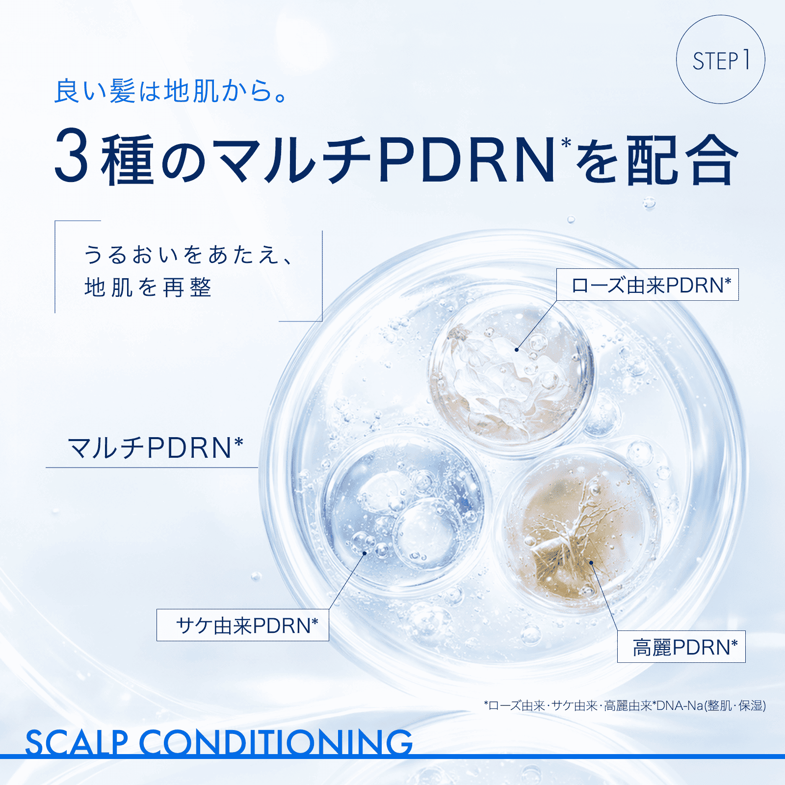 Derma:U ダーマユー セラムモイスト セット