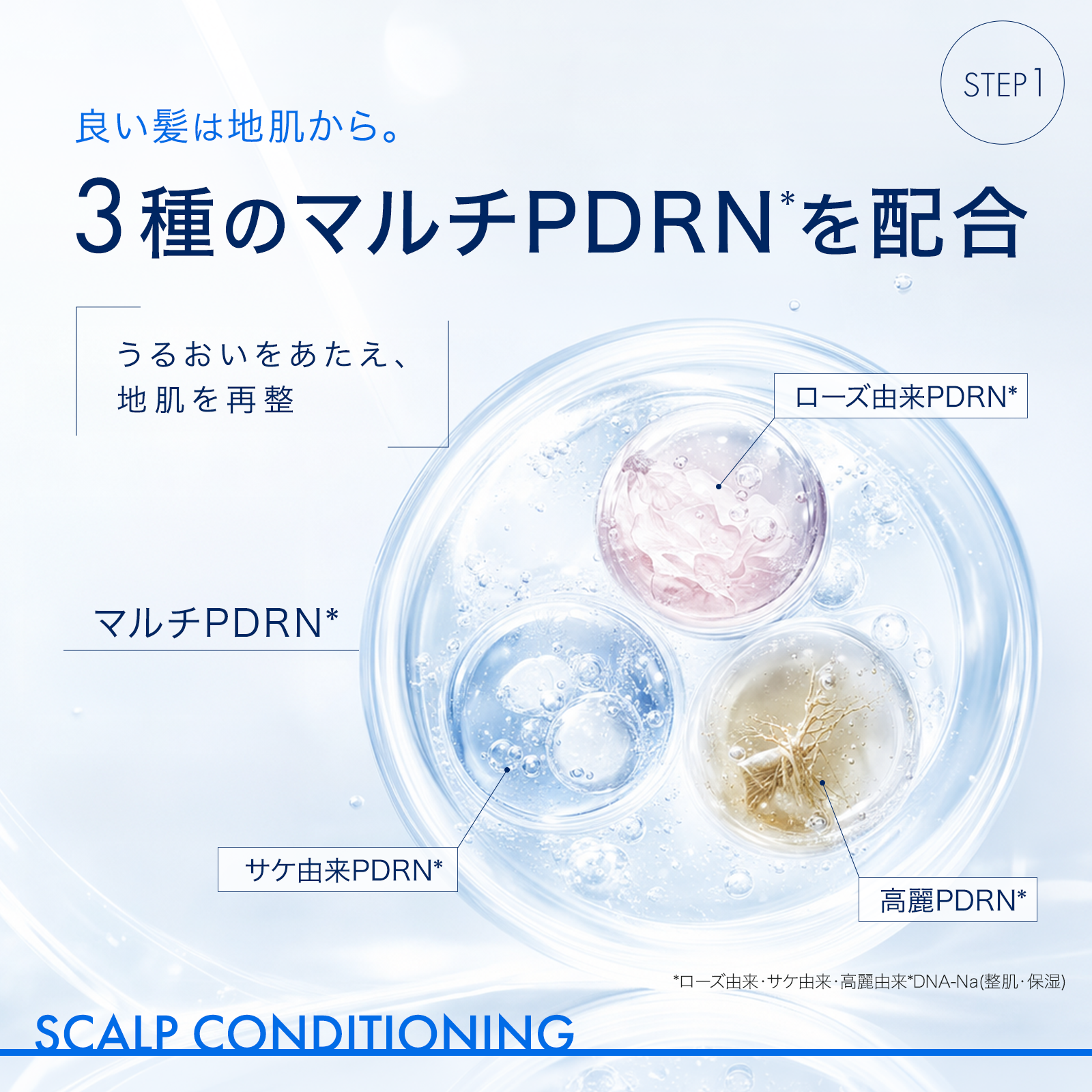 Derma:U ダーマユー セラムモイスト シャンプー