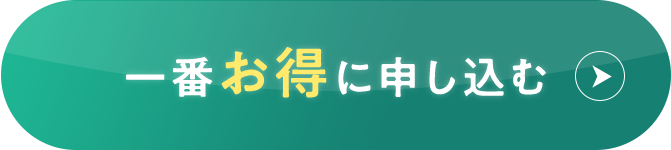 一番お得に申し込む