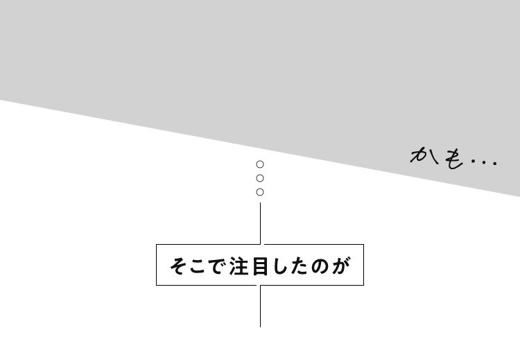 そこで注目したのが