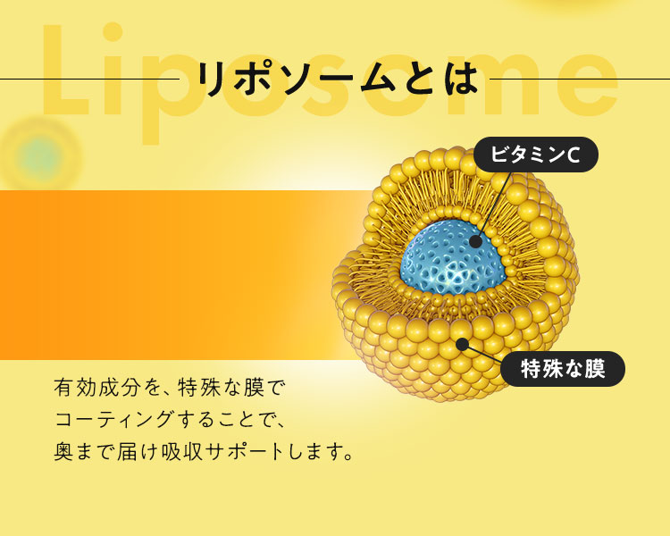 リポソームとは