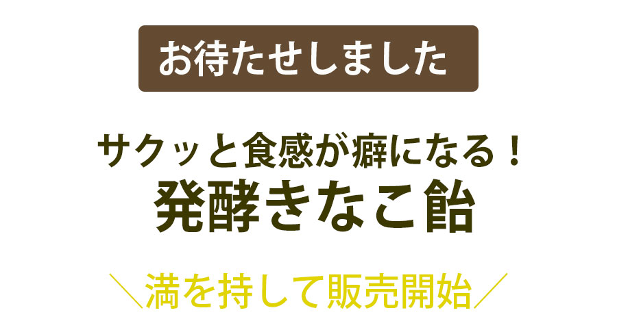 お待たせしましたサクッと食感が癖になる！発酵きなこ飴満を持して販売開始