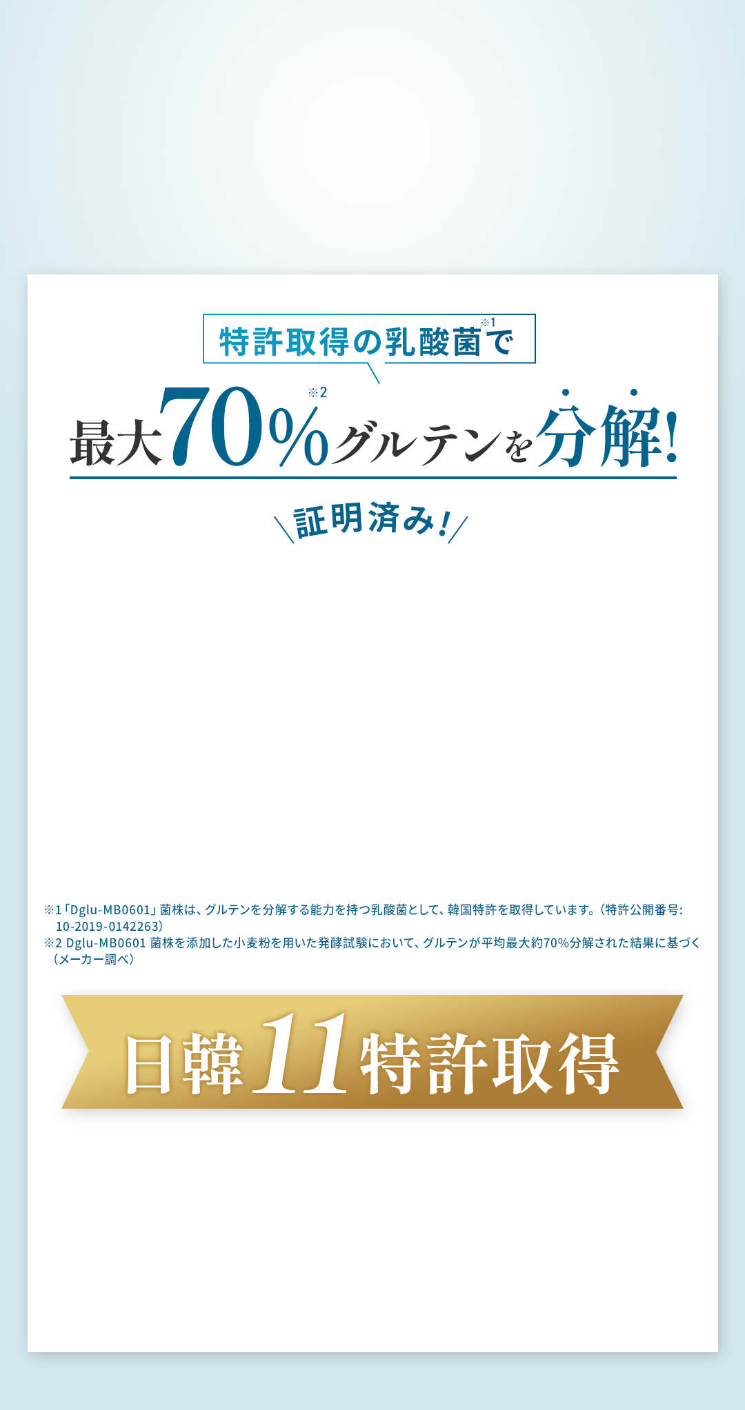 特許取得の乳酸菌で最大70%グルテンを分解！日韓11特許取得
