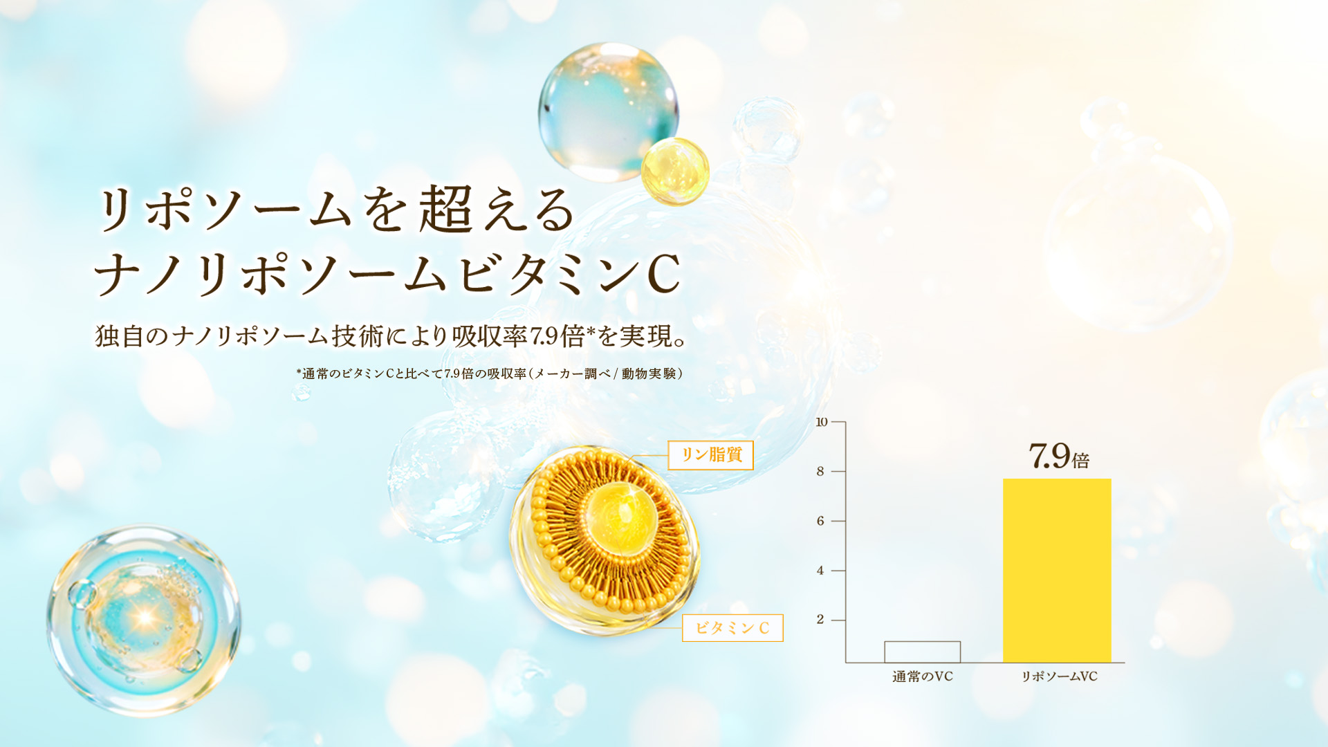 LIPO鉄10mg 鉄分サプリの到達点