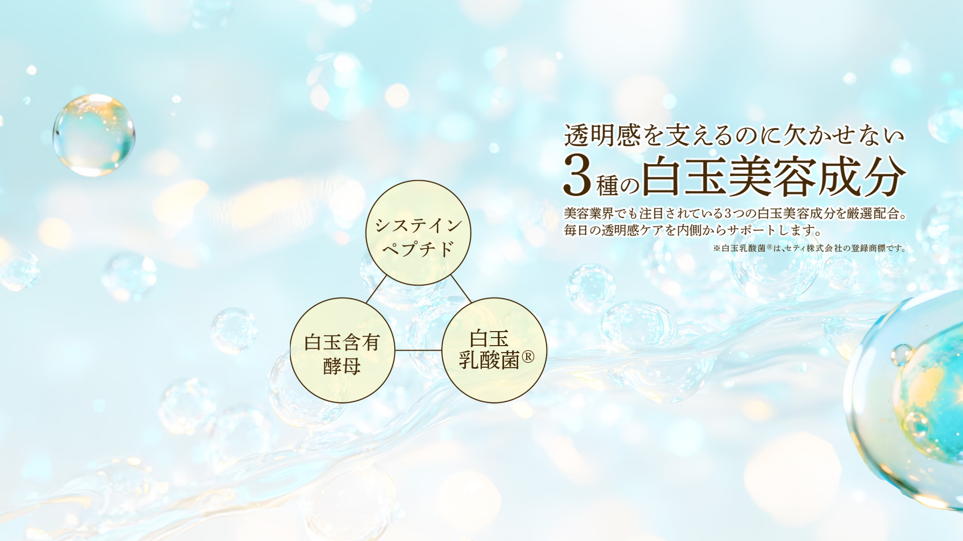 LIPO鉄10mg 鉄分サプリの到達点