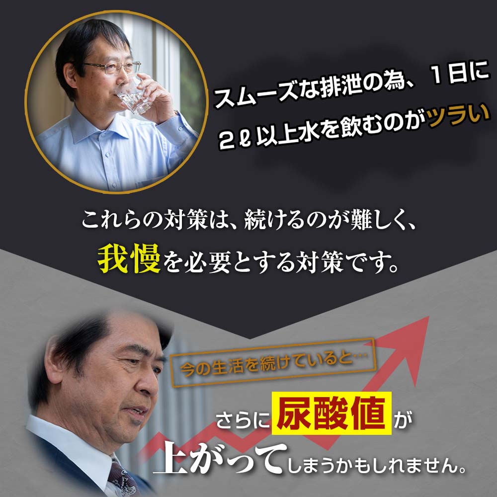 飲むルテオリン リフリーラ  30粒