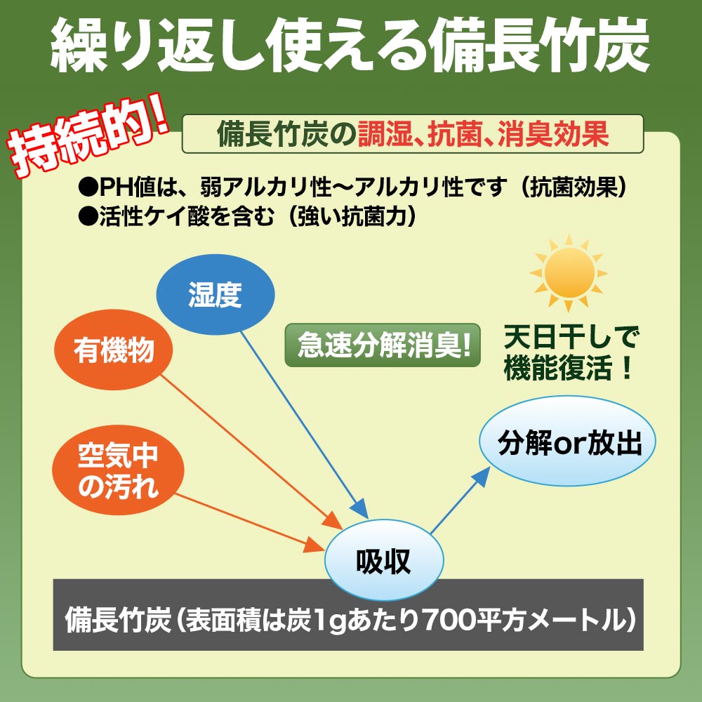 消臭インソール 菌ピタ君  (両足分) サイズ: 19.5～20cm