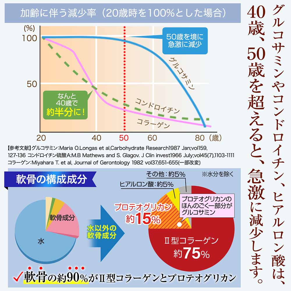塗るプロテオグリカン リフリーラ 30包