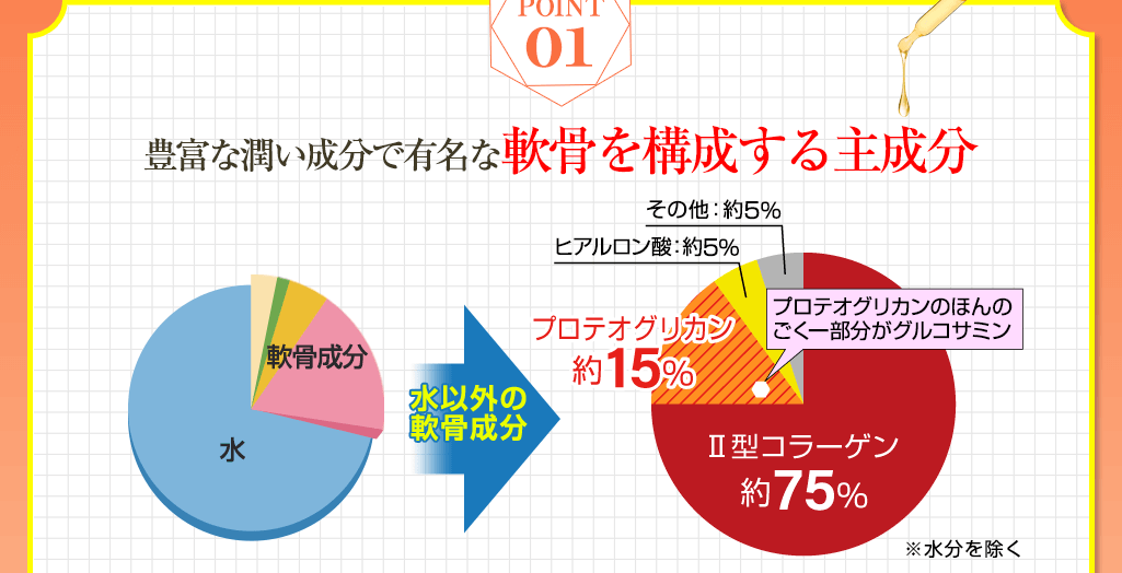 01 豊富な潤い成分で有名な軟骨を構成する主成分