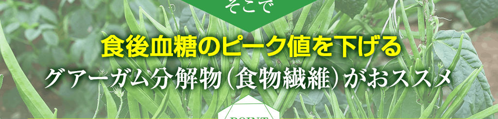 高純度グアーガム分解物がおススメ