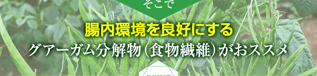 高純度グアーガム分解物がおススメ