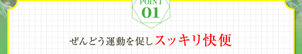 point01 ぜんどう運動を促しスッキリ快便