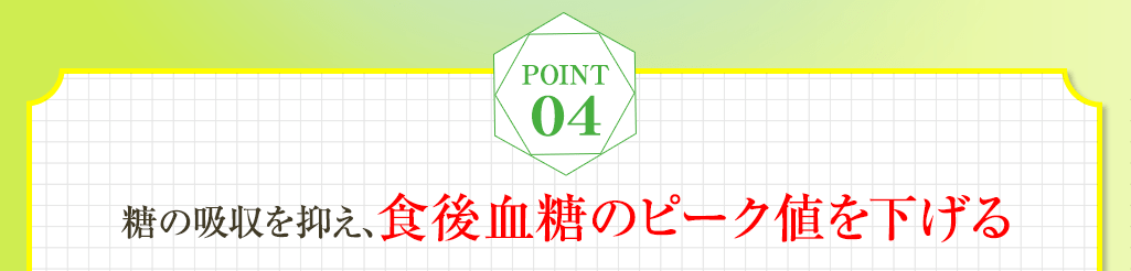 point04 糖の吸収を抑え、食後の血糖値の上昇を抑える